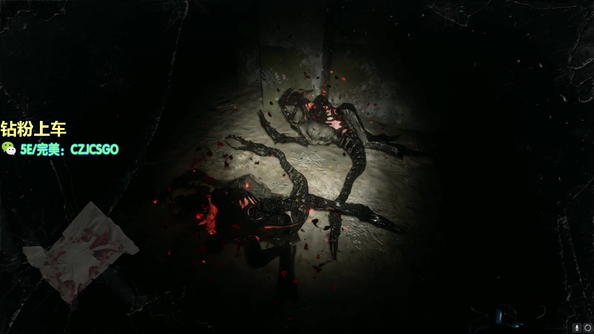 【2023-12-24 20点场】陈子敬丶：【陈子敬】IFBB PRO