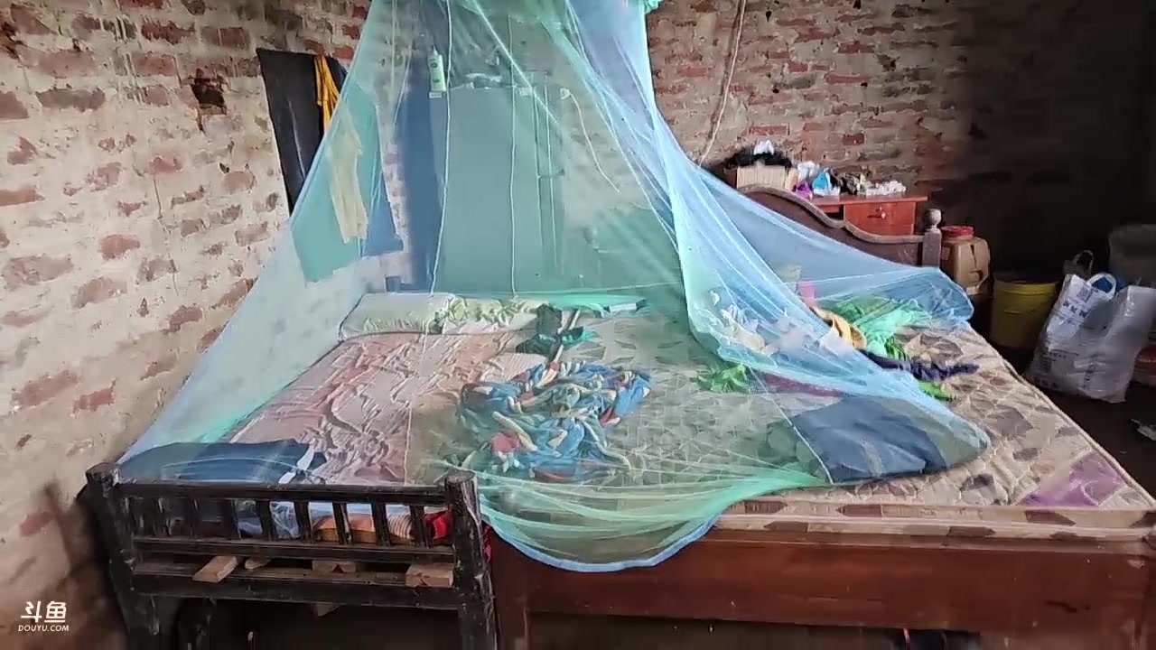 【2023-12-19 19点场】叶子户外：《纪实直播》斯里兰卡day35