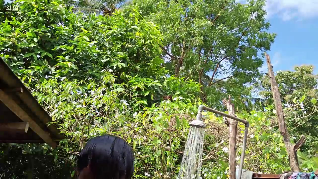 【2023-12-21 12点场】叶子户外：《纪实直播》斯里兰卡day35