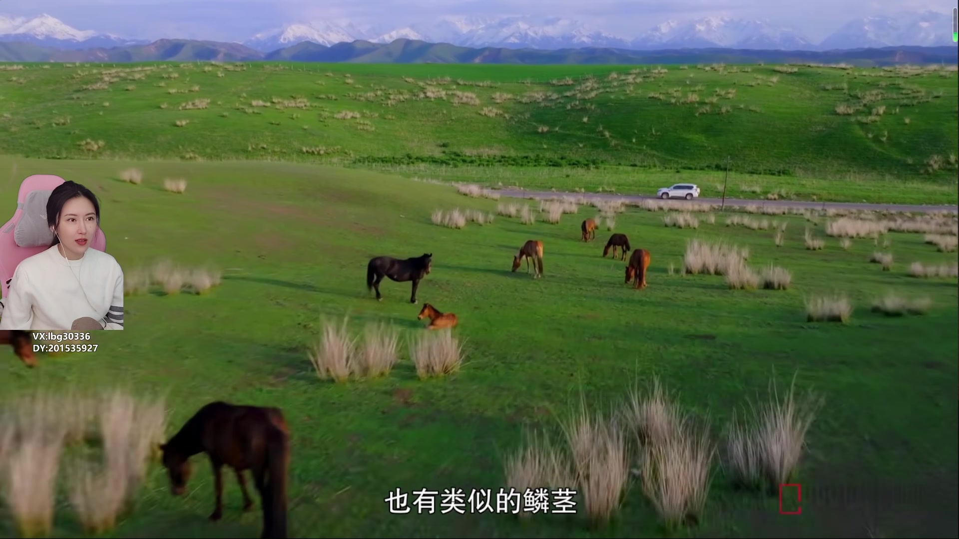 【2023-12-25 11点场】十三三三：⭐十一点前来~~