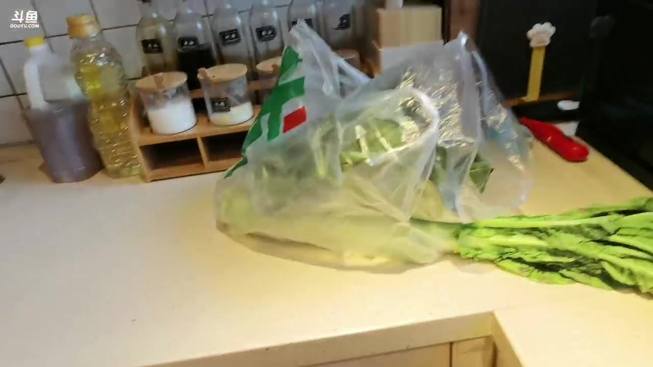 【2023-12-25 16点场】胡嘉一：我的心啊 整栋出租 都给你