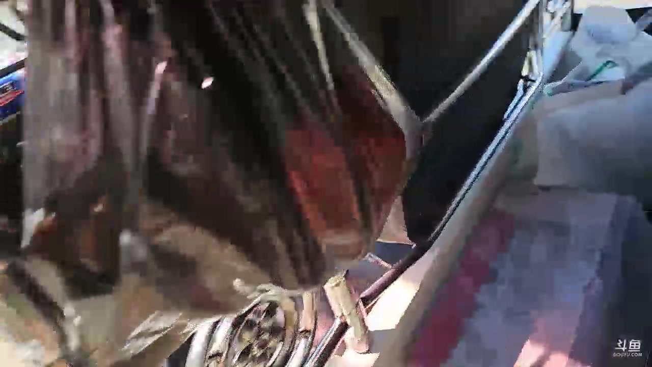 【2023-12-21 16点场】叶子户外：《纪实直播》斯里兰卡day35