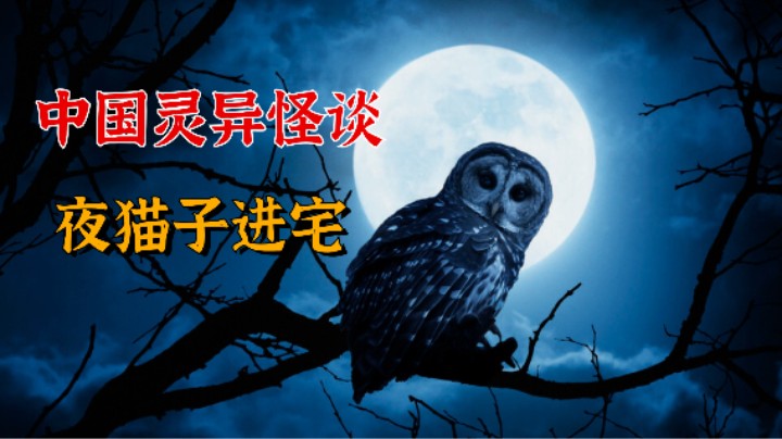 中国灵异怪谈，恐怖的夜猫子进宅！