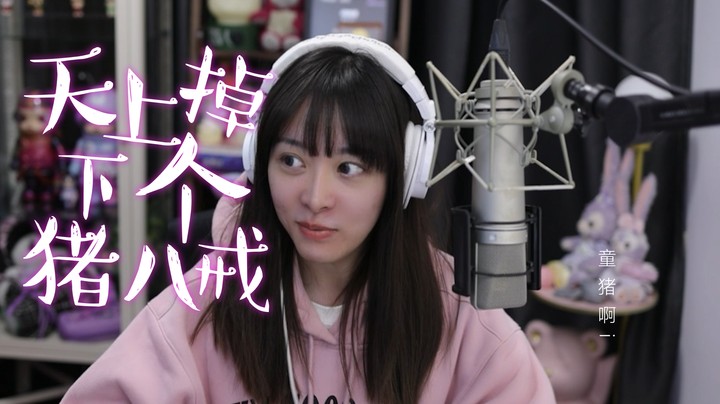 《天上掉下个猪八戒》—儿歌合集