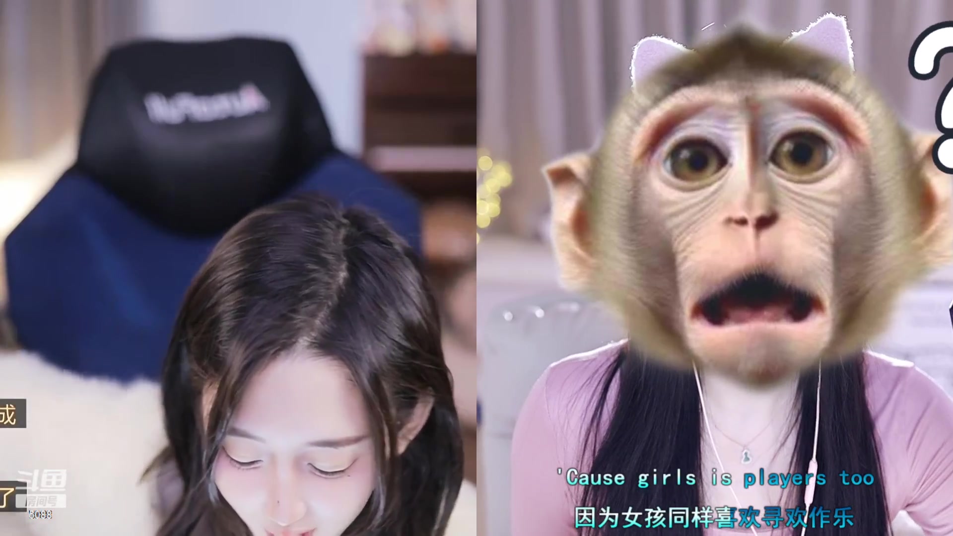 【2023-12-27 13点场】晒网的慧儿呀：小狗每天都要快乐