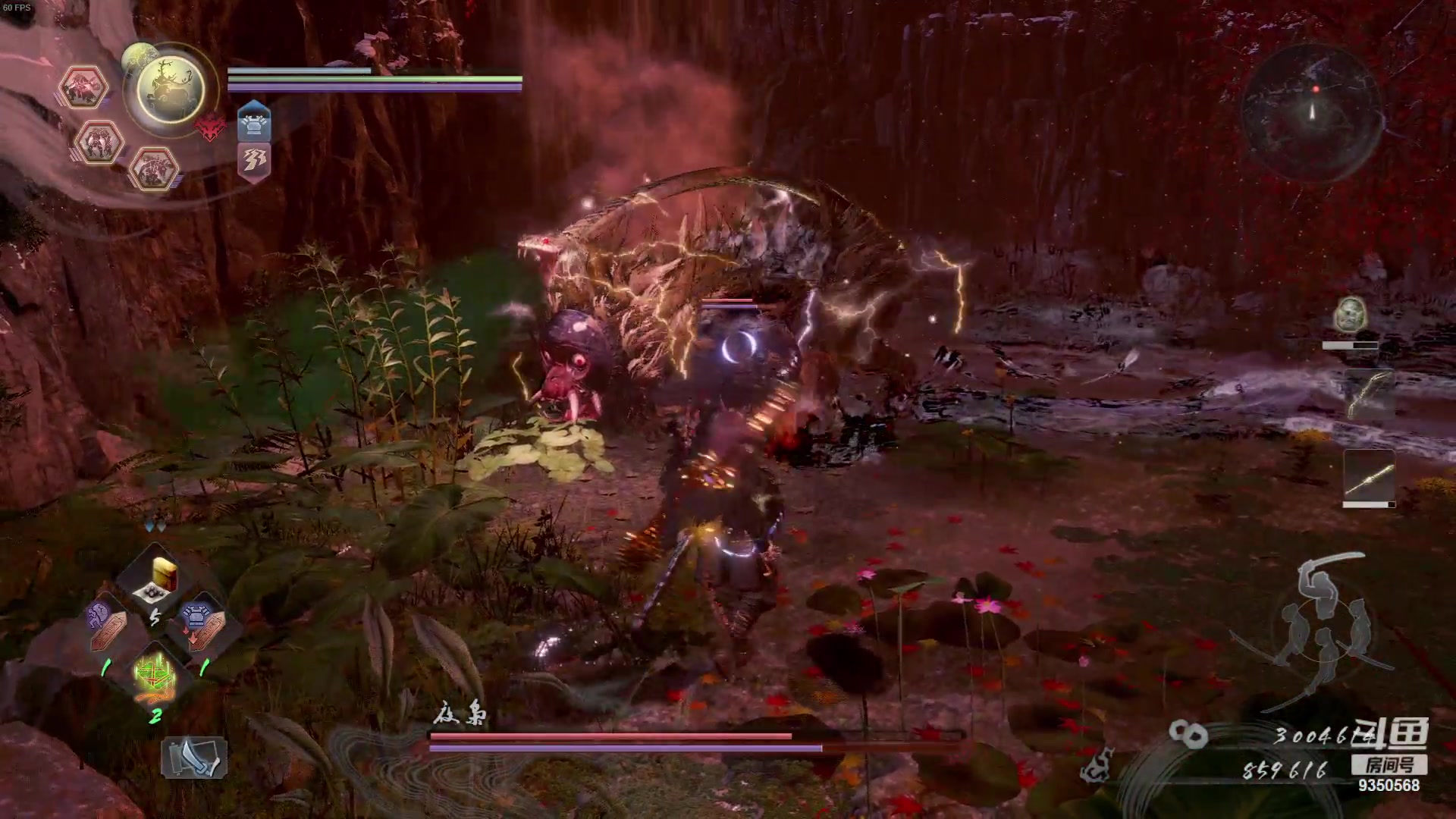 【2023-12-27 00点场】THANATOS0v0：红色虞美人 ！9350568