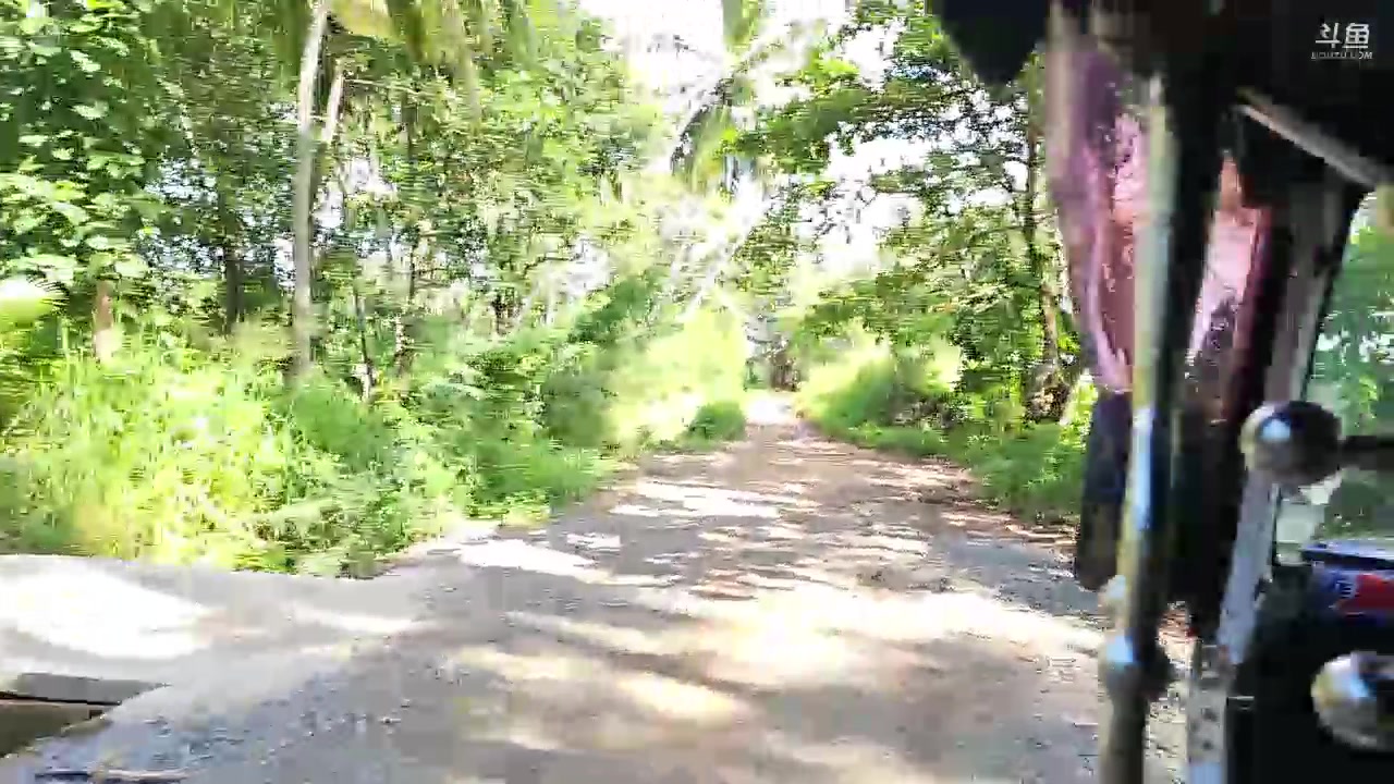 【2023-12-22 16点场】叶子户外：《纪实直播》斯里兰卡day35