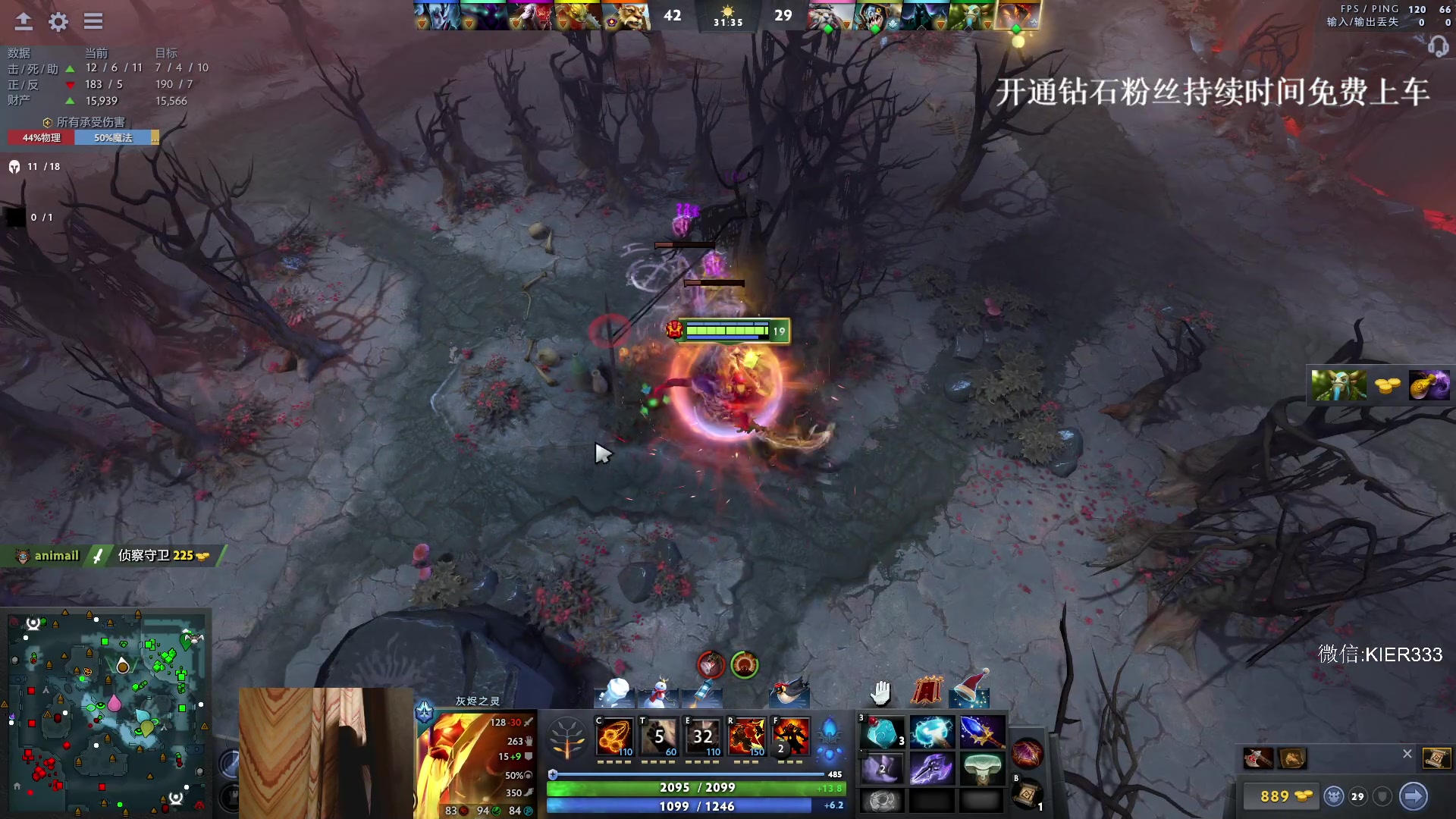 【2023-12-29 20点场】叶子长青K：长青派火猫 凶得批爆