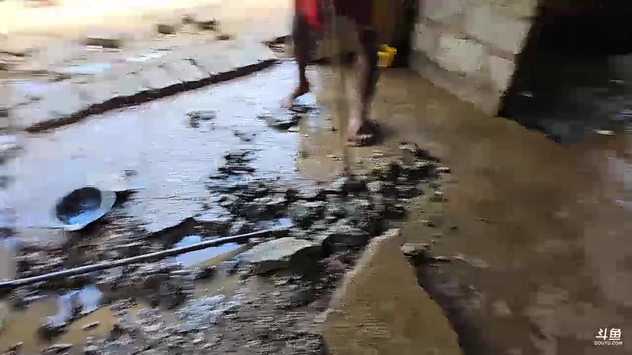 【2023-12-24 13点场】叶子户外：《纪实直播》斯里兰卡day35