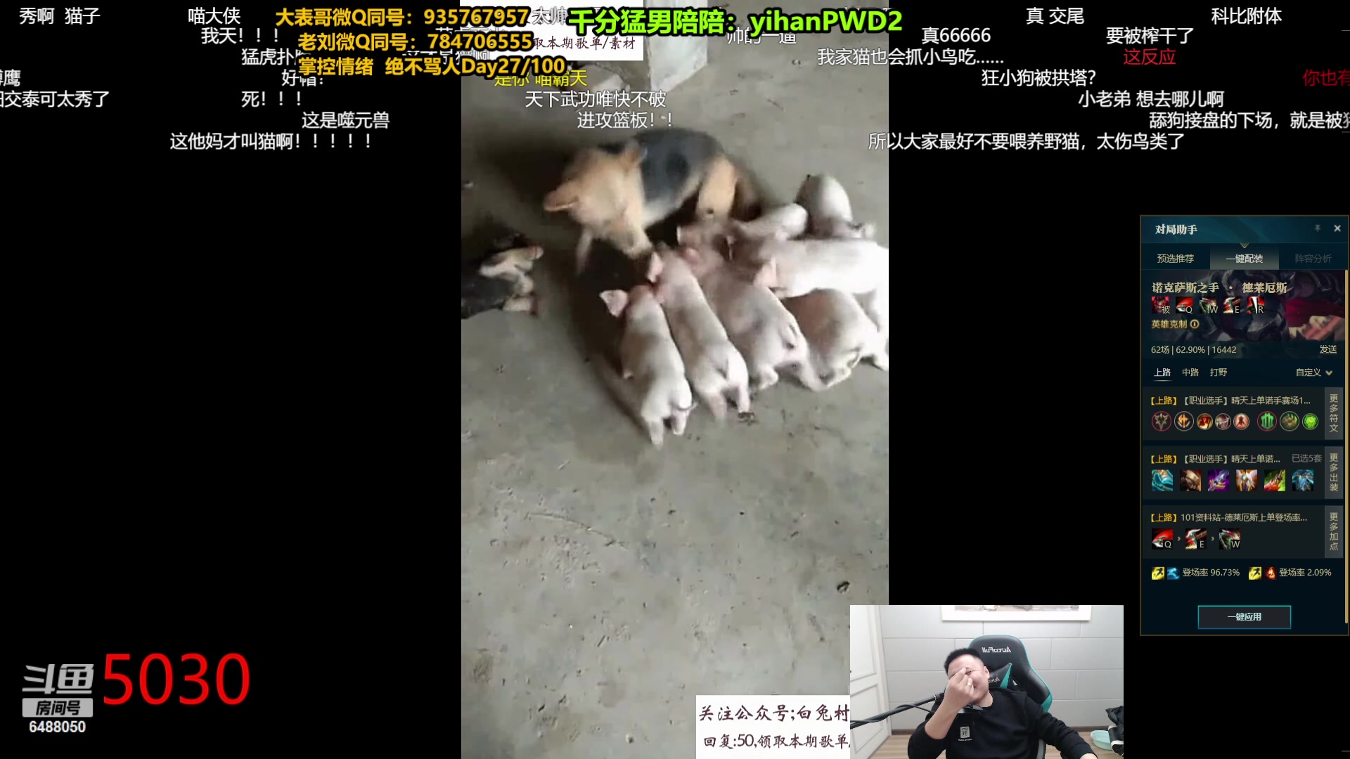 【2023-12-30 19点场】旋转的老刘诺手：一刀秒人流诺手 R两千真伤！