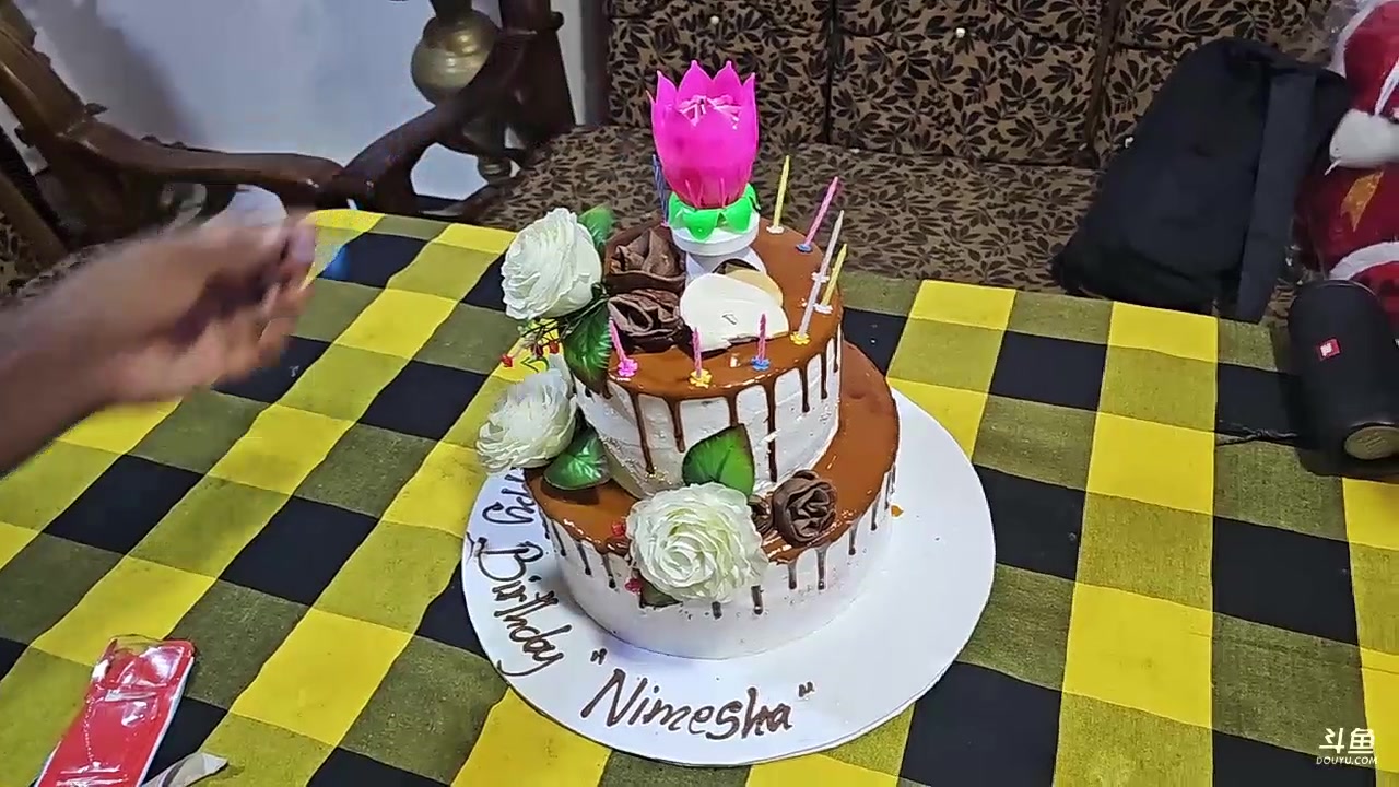 【2023-12-24 23点场】叶子户外：《纪实直播》斯里兰卡day35