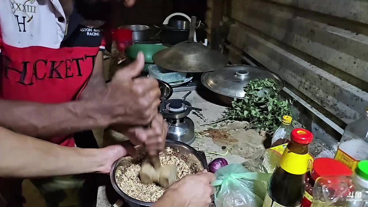 【2023-12-26 00点场】叶子户外：《纪实直播》斯里兰卡day35