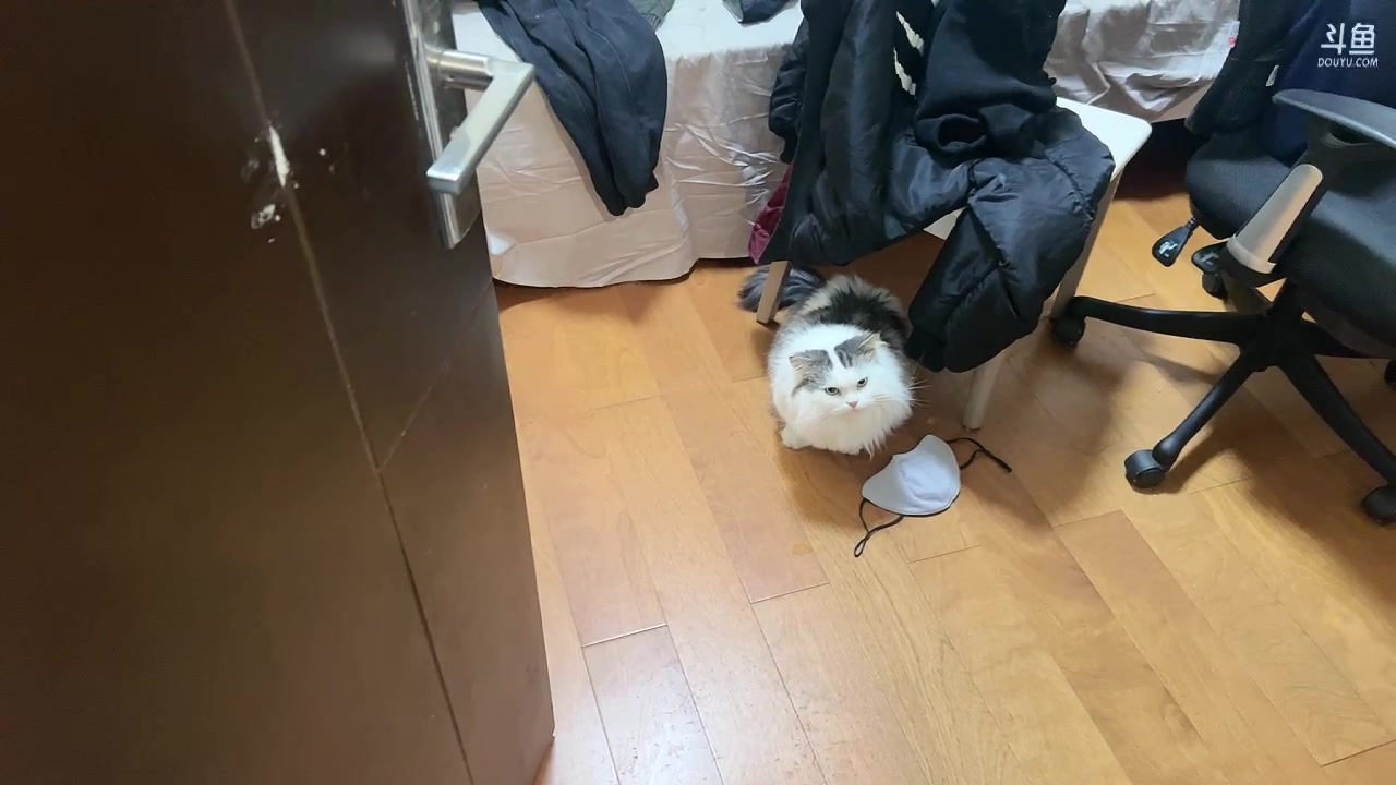 【2023-12-31 16点场】DYG萧玦：解说总决赛11188805