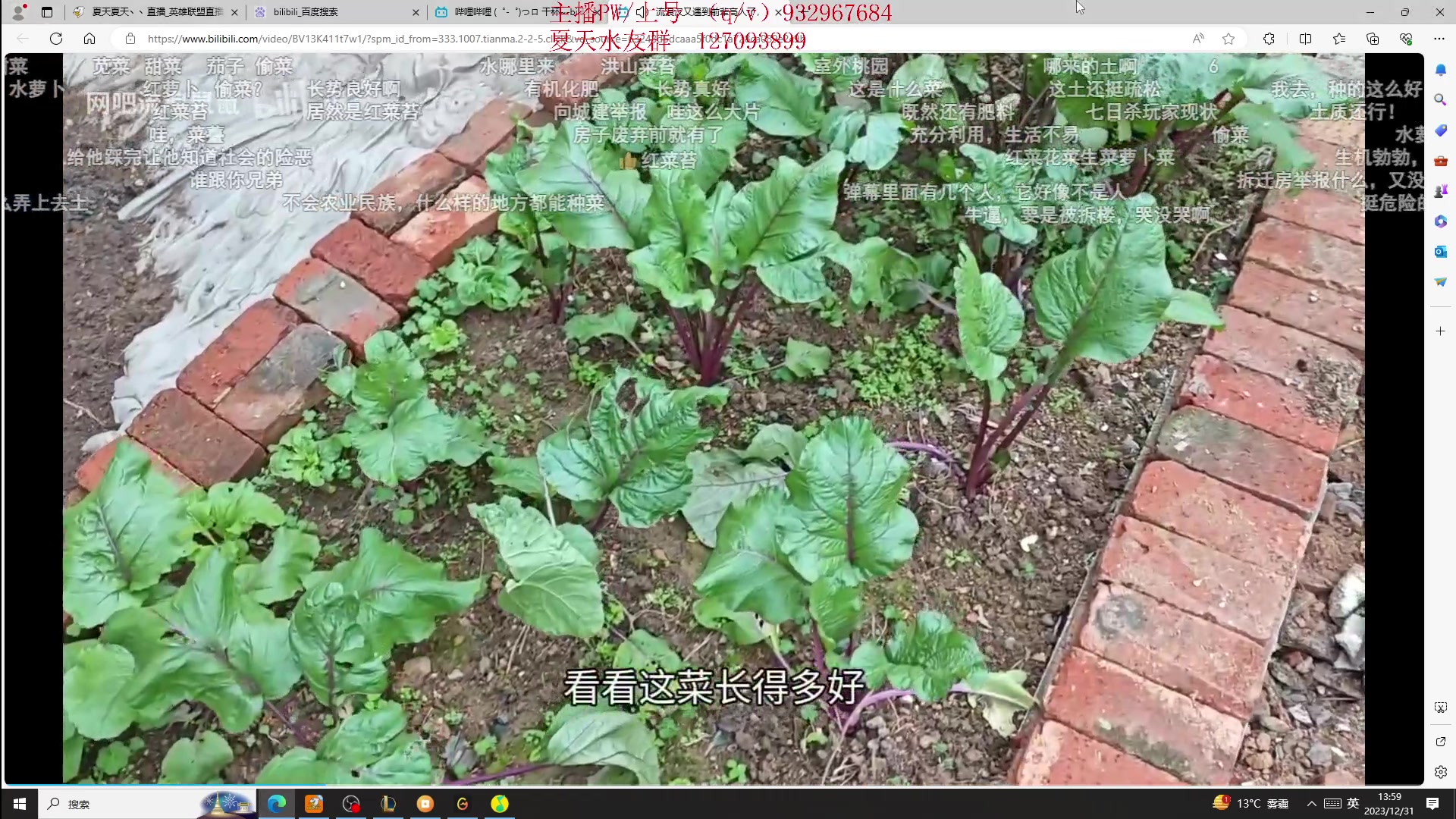 【2023-12-31 13点场】夏天夏天丶丶：国服第一女枪 把把凯瑞