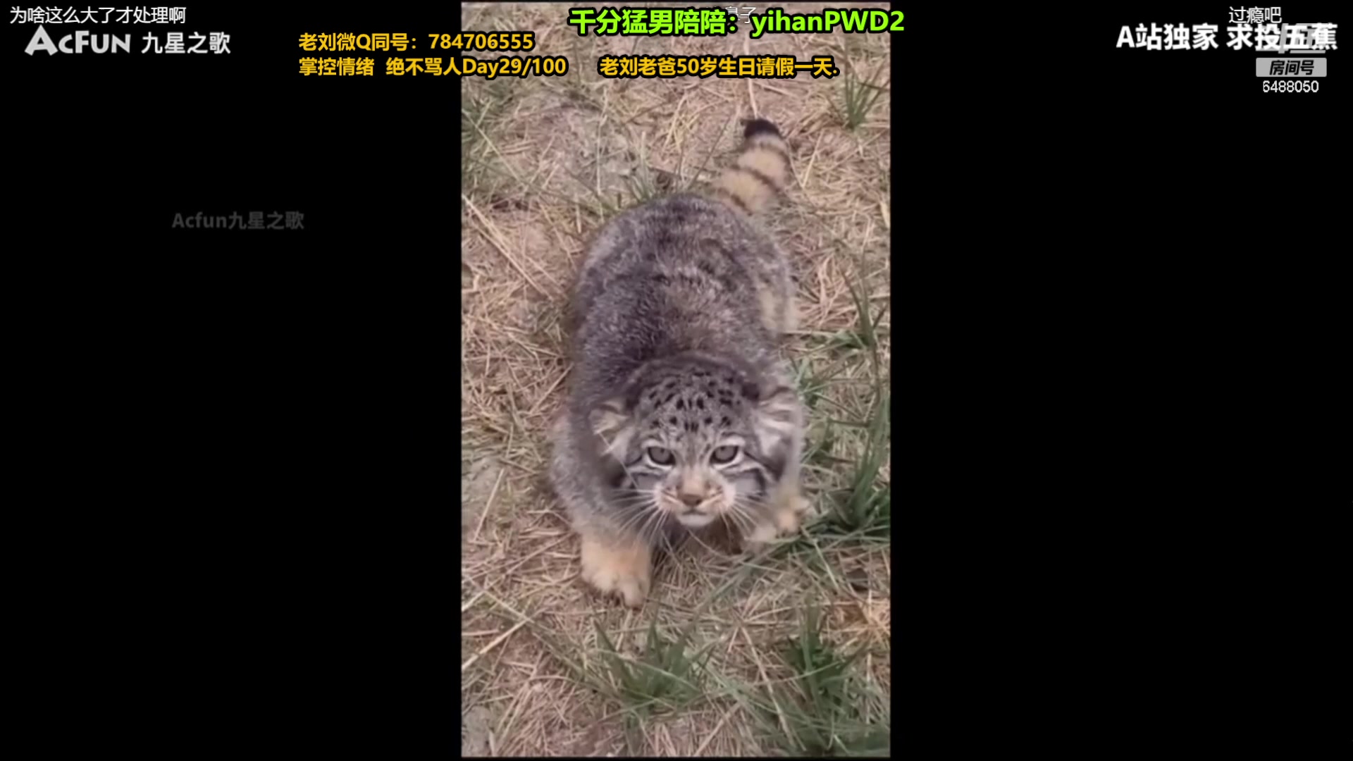 【2024-01-01 07点场】旋转的老刘诺手：一刀秒人流诺手 R两千真伤！