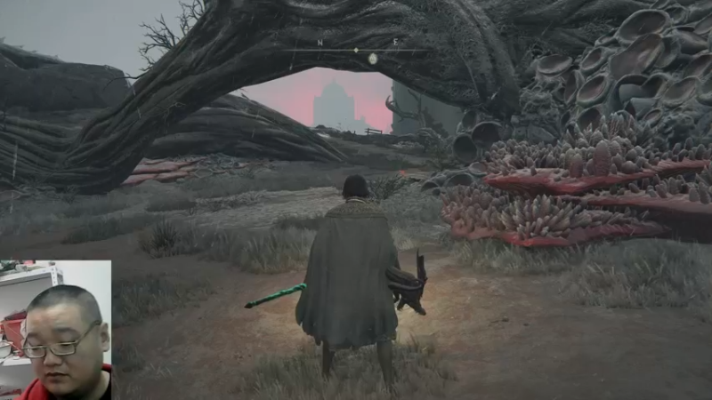 艾尔登法环23-12-31 (11)