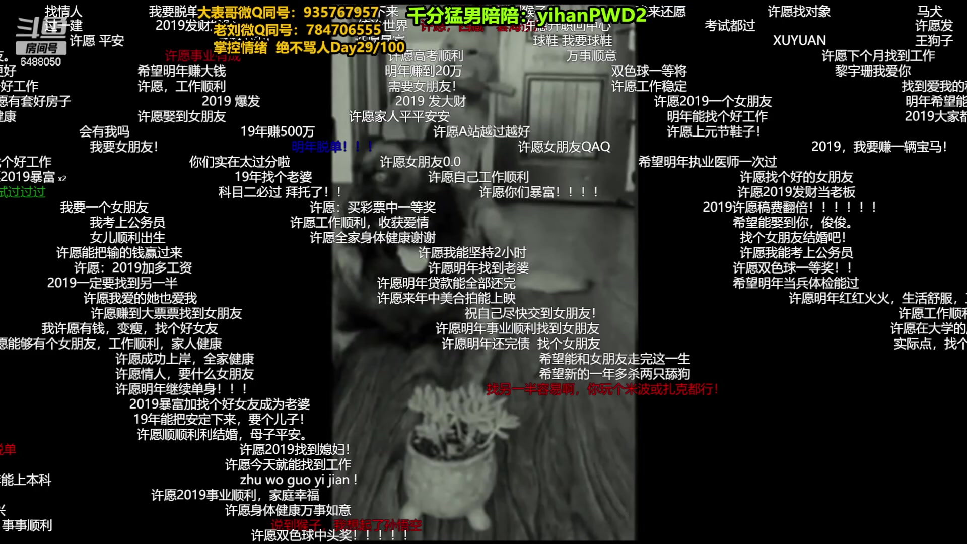 【2024-01-01 19点场】旋转的老刘诺手：一刀秒人流诺手 R两千真伤！