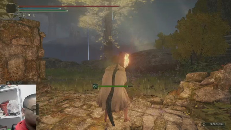 艾尔登法环23-12-31 (17)