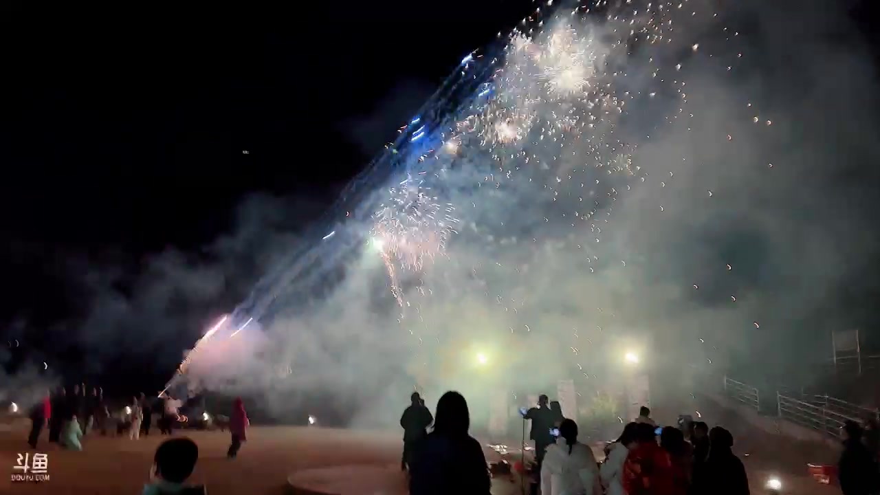 【2023-12-31 21点场】包包QuQ：新年快乐~~~ 8034736