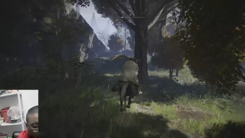 艾尔登法环23-12-31 (16)