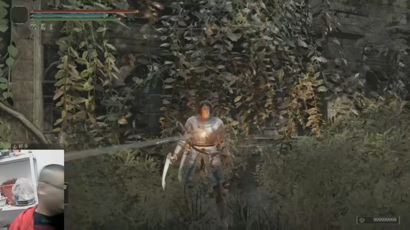 艾尔登法环23-12-31 (7)