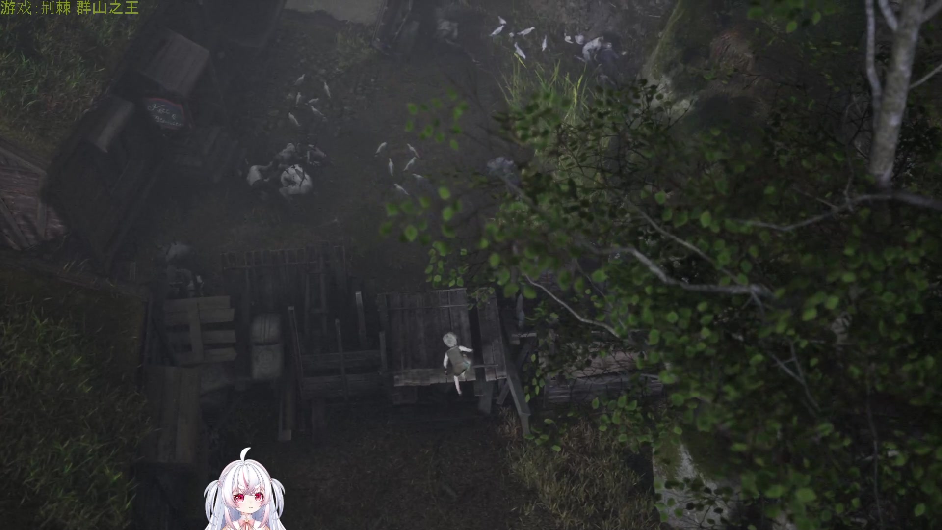 【2024-01-02 04点场】小猪哼x：新年快乐，这一年感谢有你的陪伴