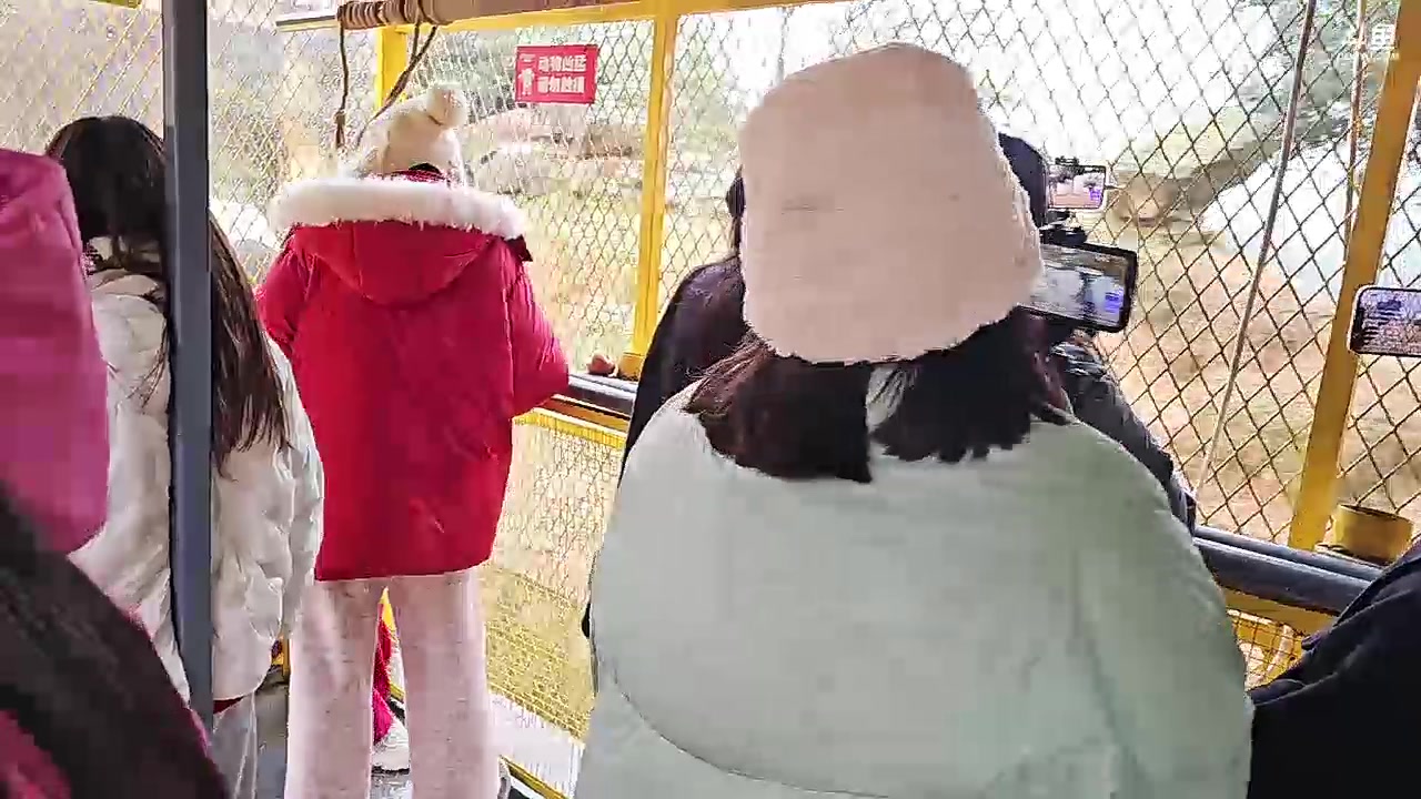 【2024-01-02 11点场】火力堂主：游玩动物园！757团播第n天！