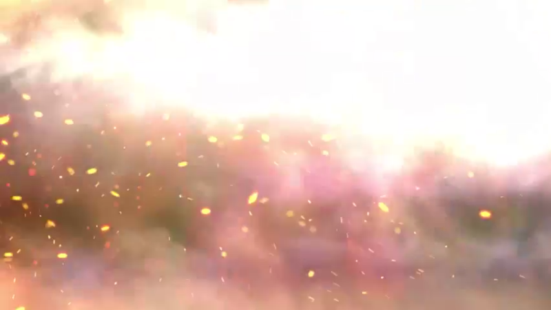 你最遗憾的是什么呢？