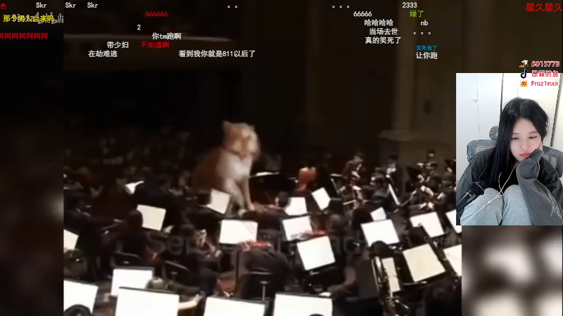 这是我剪辑的pigff的直播精彩时刻，快来看看吧~