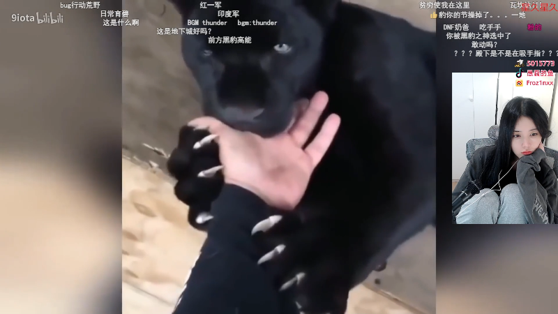 这是我剪辑的pigff的直播精彩时刻，快来看看吧~