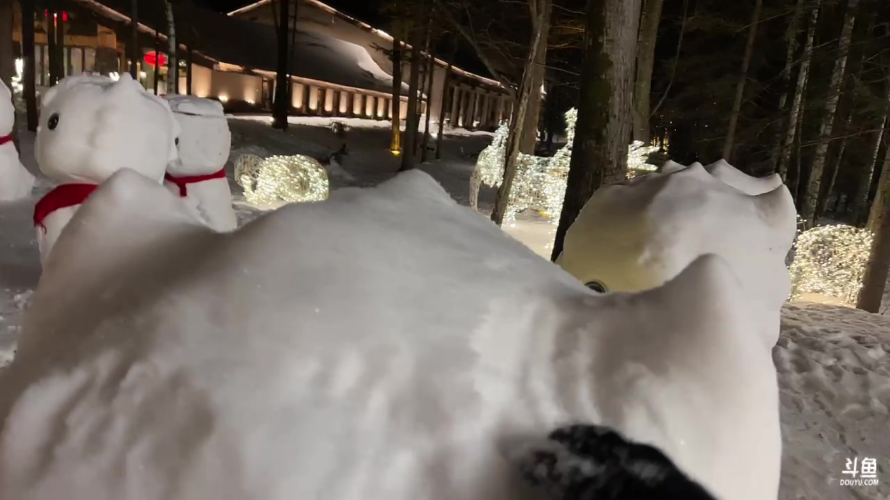 【2024-01-03 17点场】自小语：哈尔滨早市阿