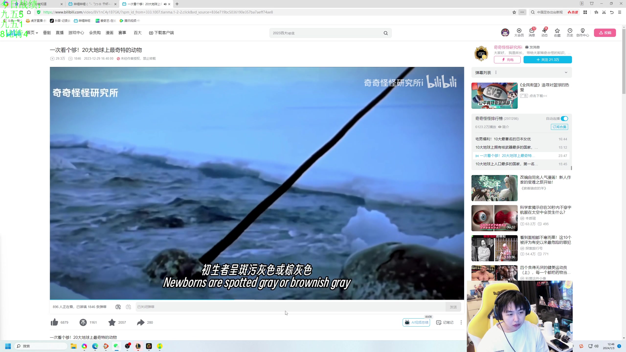 【2024-01-03 12点场】不2不叫周淑怡：耗子：臭棋篓子！双倍亲密度