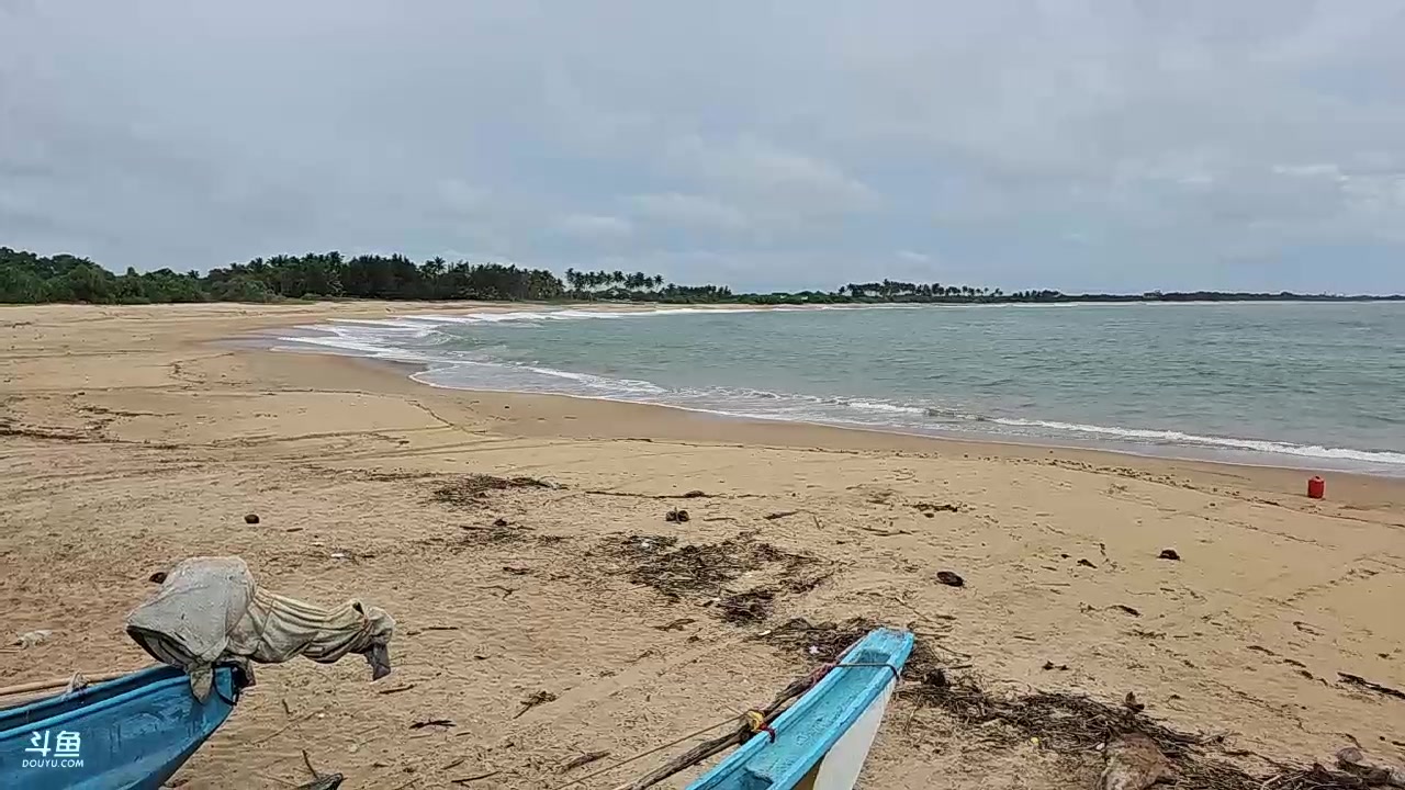 【2023-12-29 14点场】叶子户外：《纪实直播》斯里兰卡day35