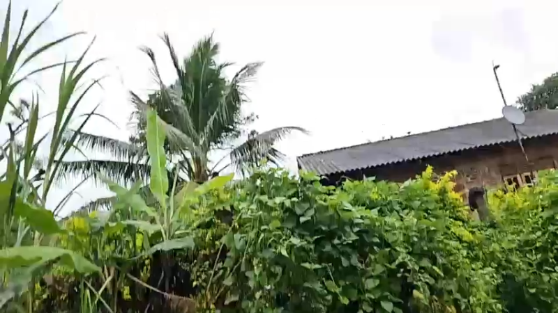 【2023-12-29 12点场】叶子户外：《纪实直播》斯里兰卡day35