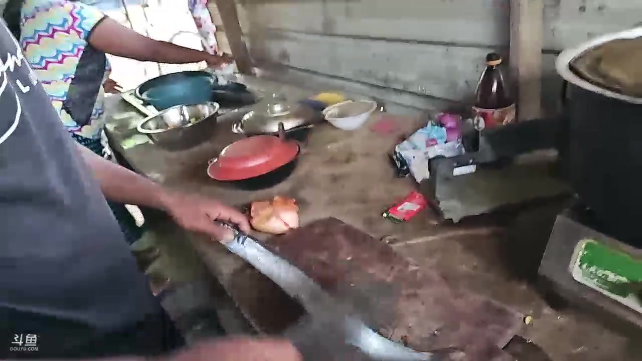 【2023-12-29 19点场】叶子户外：《纪实直播》斯里兰卡day35