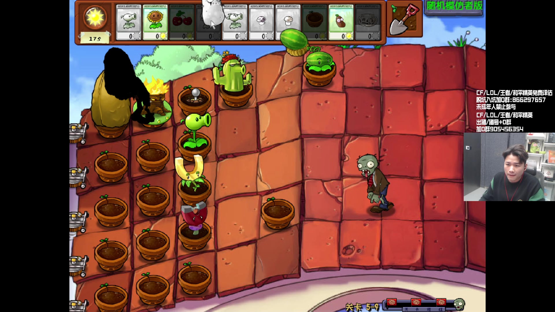 【2024-01-04 17点场】KZ石头丶：今天双倍亲密度~