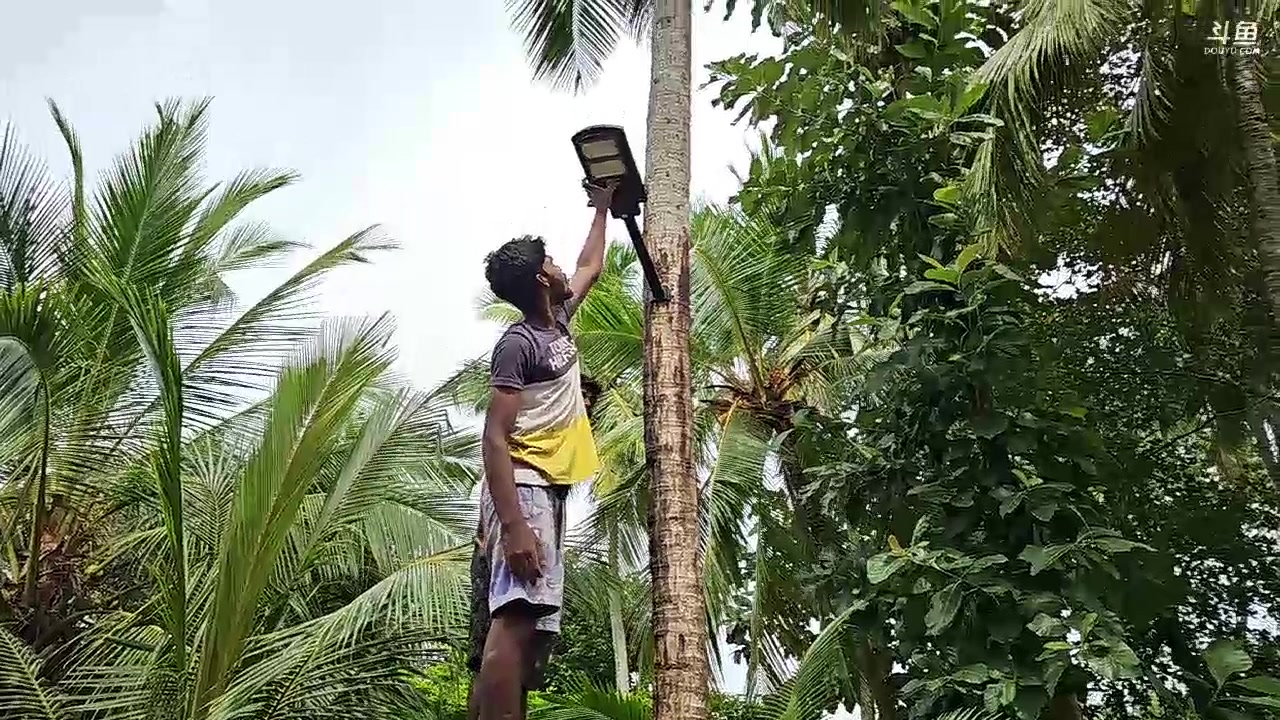 【2024-01-02 16点场】叶子户外：《纪实直播》斯里兰卡day35