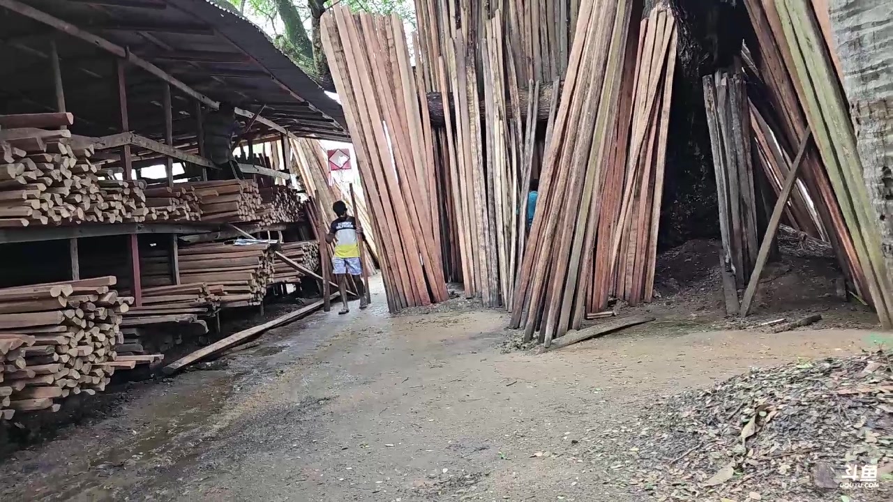 【2024-01-02 17点场】叶子户外：《纪实直播》斯里兰卡day35