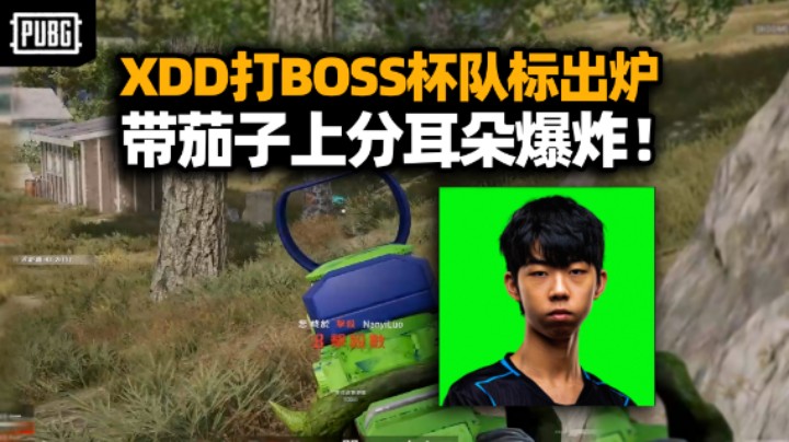 XDD打BOSS杯新战队队标出炉 敢和杀人王直视么？带茄子上分茂名喇叭真像打仗！