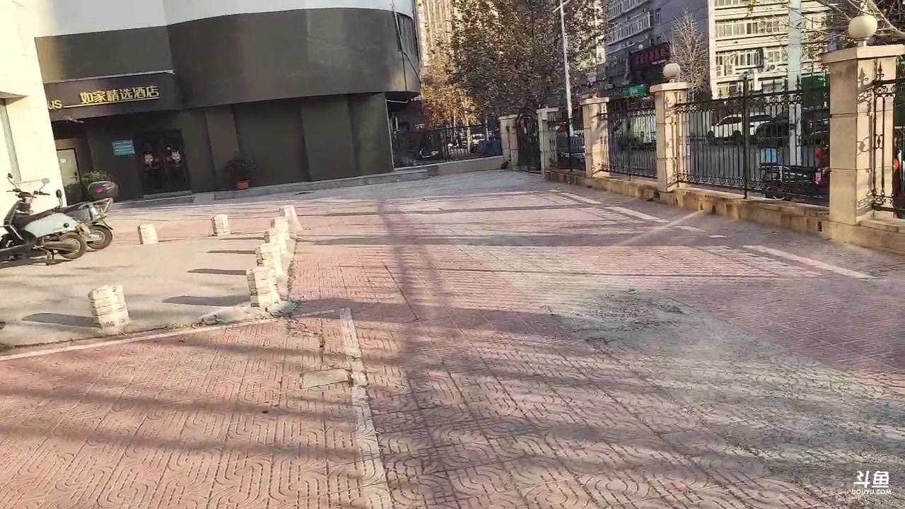 【2024-01-07 08点场】一本正经的稻哥：稻：出门鸽一天✌️