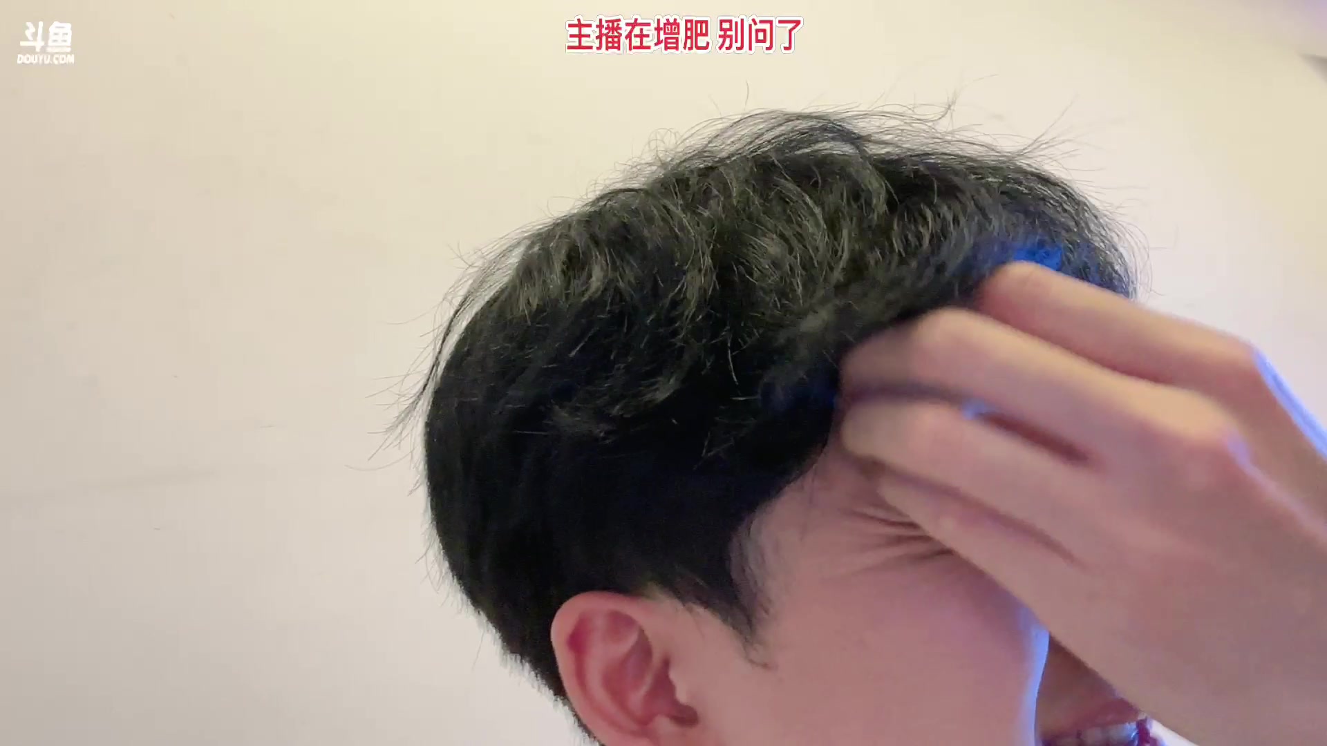 【2024-01-07 03点场】叁三QvQ：和朋友们来上海玩啦