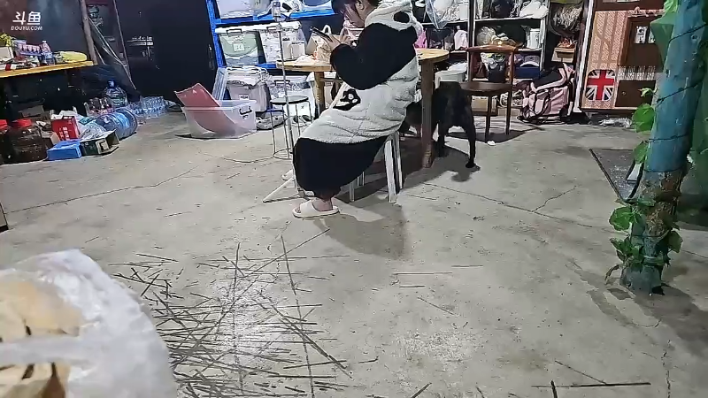 我在斗鱼看火力堂主直播户外