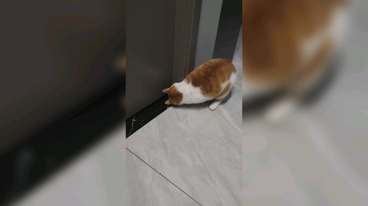 门缝下的静音贴要保不住了，被抠成了渣渣