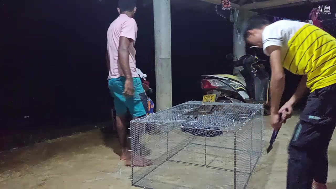 【2024-01-04 22点场】叶子户外：《纪实直播》斯里兰卡day35