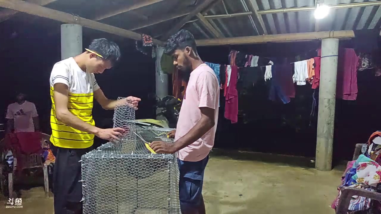 【2024-01-05 00点场】叶子户外：《纪实直播》斯里兰卡day35