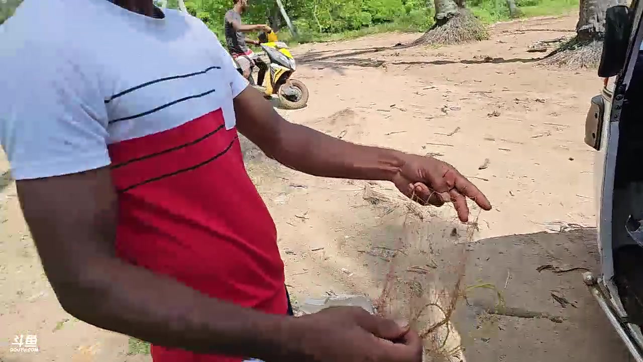 【2024-01-05 14点场】叶子户外：《纪实直播》斯里兰卡day35