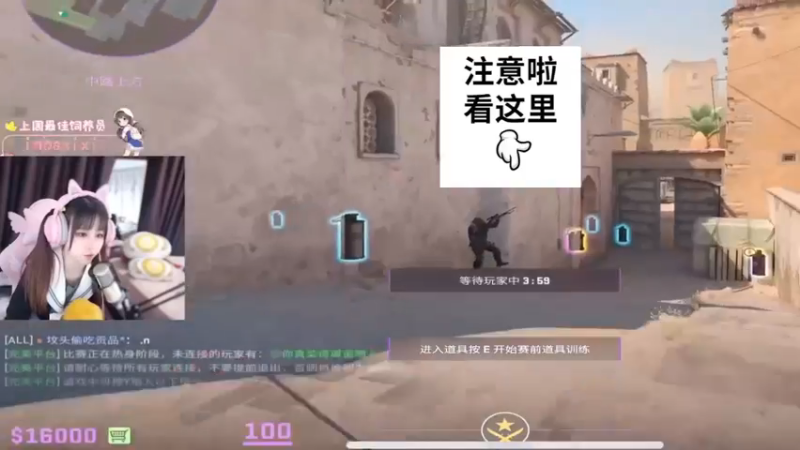 【小樱】CS2苍蝇头如此可爱