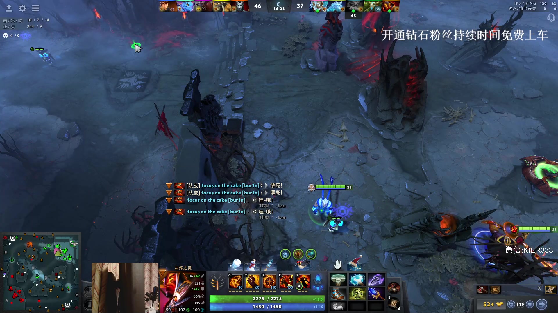 【2024-01-10 01点场】叶子长青K：长青派火猫 凶得批爆