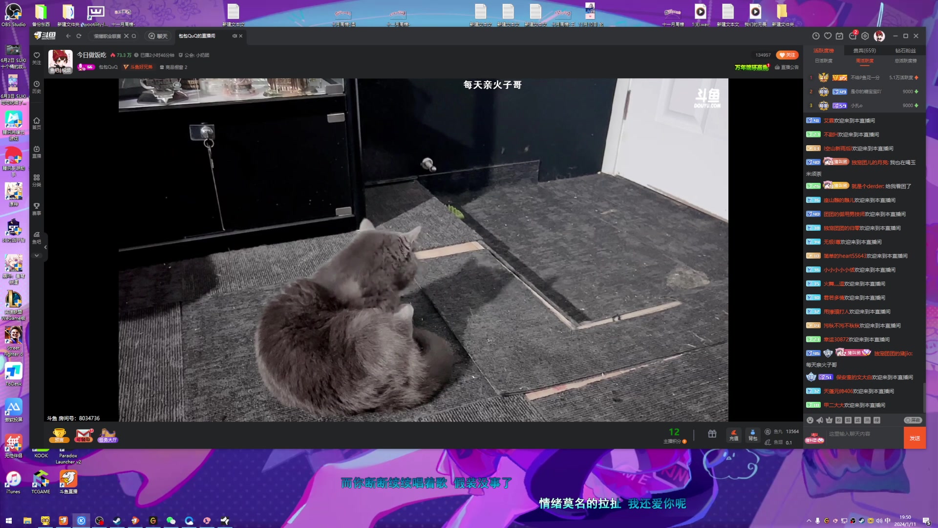 【2024-01-11 19点场】一条小团团OvO：包包代播~~