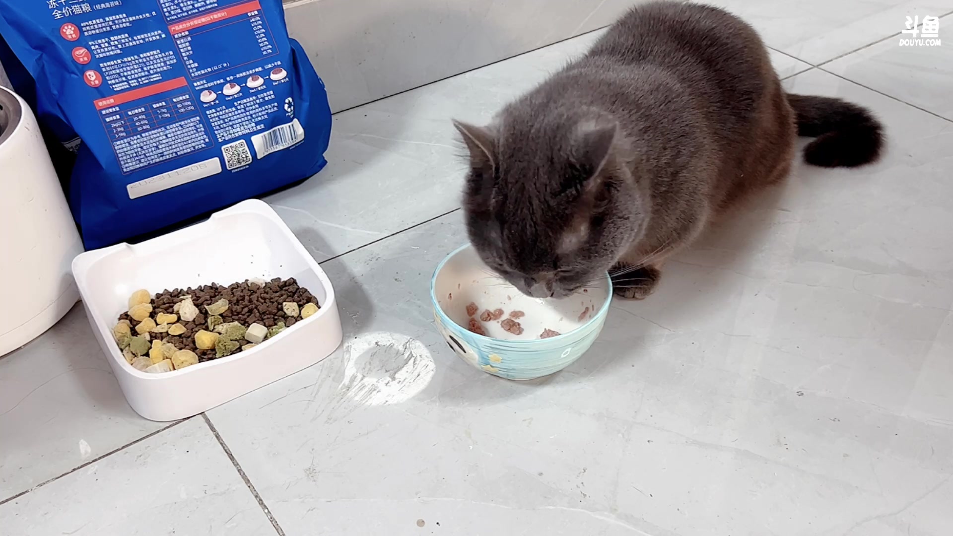 【2024-01-11 16点场】包包QuQ：今日做饭吃